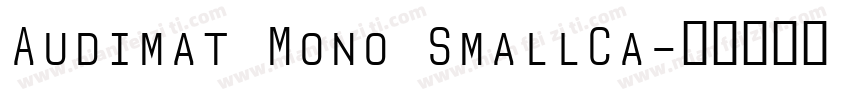 Audimat Mono SmallCa字体转换